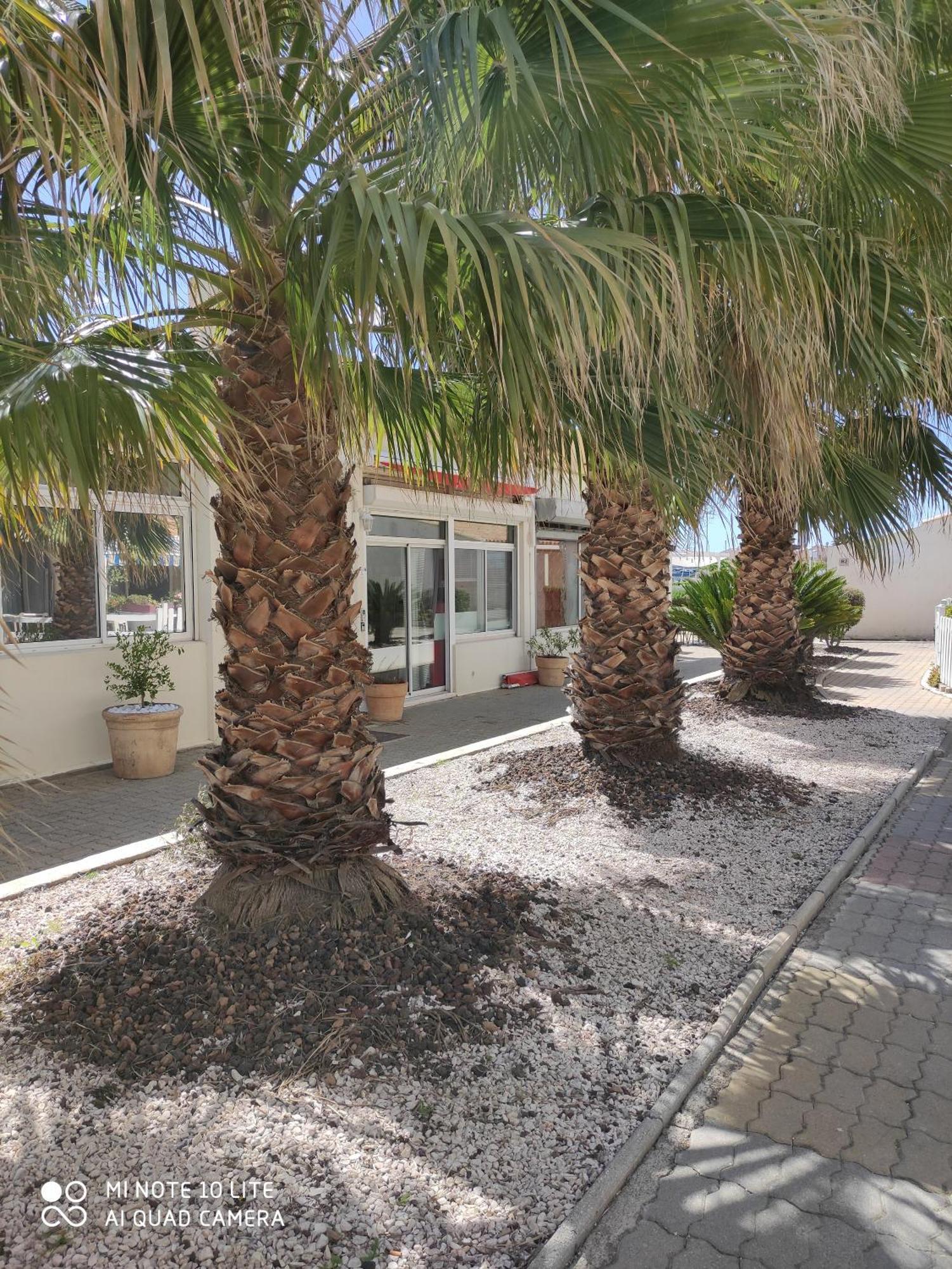Village Naturiste Studio En Rdj ,Piscine ,Parking Agde Room photo